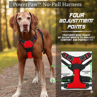 PowerPaw™ No-Pull Harness