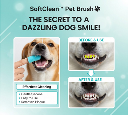 SoftClean™ Pet Brush